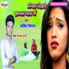 About Dhokha De Dihle Humke Apna Pyar Me Song