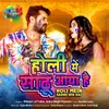 About Holi Mein Sadhu Aya Hai Song