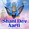 About Shani Dev Aarti Song