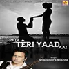 About Phir Teri Yaad Aai Song