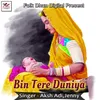 About Bin Tere Duniya Song