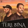 About Tere Bina Song