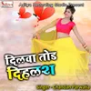 About Dilwa Tod Dihalas Song