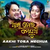 About Aakhi Tora Meghua Song