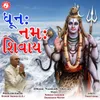 About Dhun Namah Shivay Song