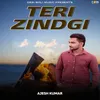 About Teri Zindgi Song