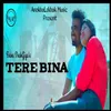 About Tere Bina Song