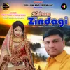 About Hairaan Zindagi Song