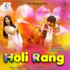 About Holi Rang Song