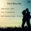 About Tere Bina Me Song