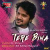 About Tere Bina Song