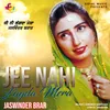 About Jee Nahi Lagda Mera Song