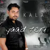 About Yaad Teri Song