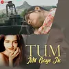 About Tum Mil Gaye Ho Song