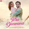 About Tera Deewana Song