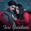 About Teri Yaadein Song