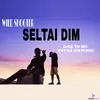 About Seltai Dim Song