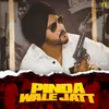 Pinda Wale Jatt