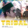 About Tribal Mashup Song