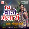 Dj Baaje Mela Mein