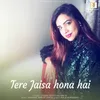 About Tere Jaisa Hona Hai Song