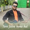 About Tere Jaisa Hona Hai Song