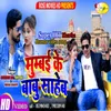 About Mumbai Ke Babu Saheb Song