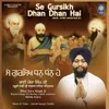 About Se Gursikh Dhan Dhan Hai Song