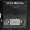 About Na Tu Vekheya Song