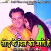 About Tod Ke Dil Ko Jate Hain Song