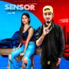 About Sensor Song