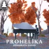 Prohelika
