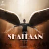 About Shaitaan Song