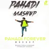 About Pahadi Forever Mashup Song