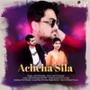 About Achcha Sila Song