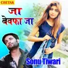 About Ja Bewafa Ja Song