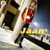 About Jaan - Ponny Lohatiya Song