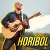 About Horibol Song