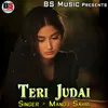 About Teri Judai Song