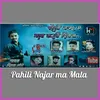 About Pahili Najar Ma Mala Song