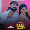 About Gaal Gandasa Ki Song