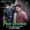 About Prem Deewana Song