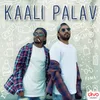 About Kaali Palav Song