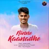 Ninne Kaanadhe