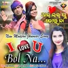 About I Love You Bol Na Song