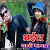 About Bhail Bani Pagal Song