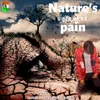 About Nature'S Pain Song