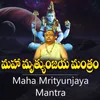 About Maha Mrithyunjaya Mantra Siddhaguru Song