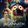 About Jay Jagannath Song