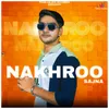 About Nakhroo Song
